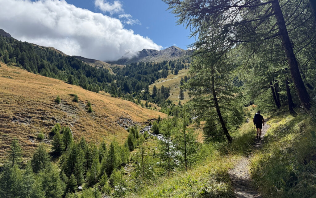 Tour du Queyras Sentier de randonnée qui motne pour passer côté italien
