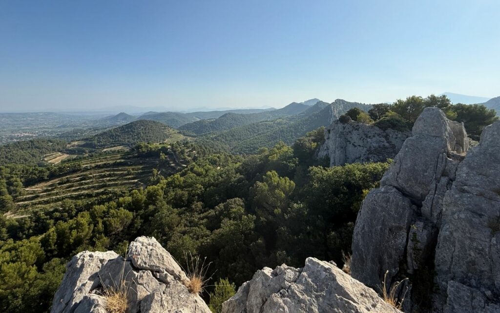 Dentelles de Montmirail
