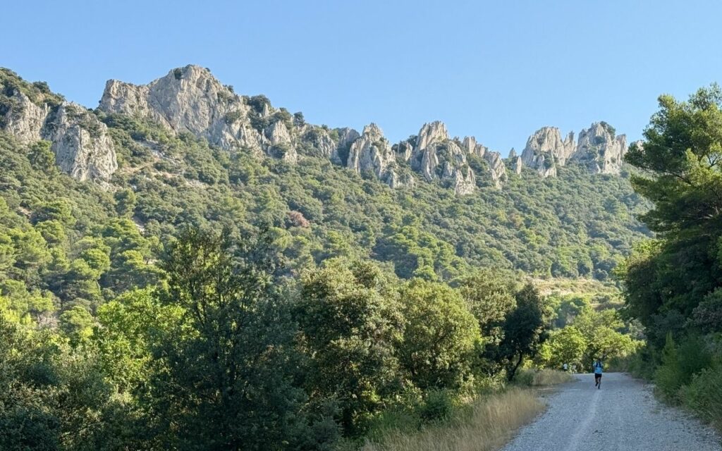 chemins dans les dentelles de Montmirail