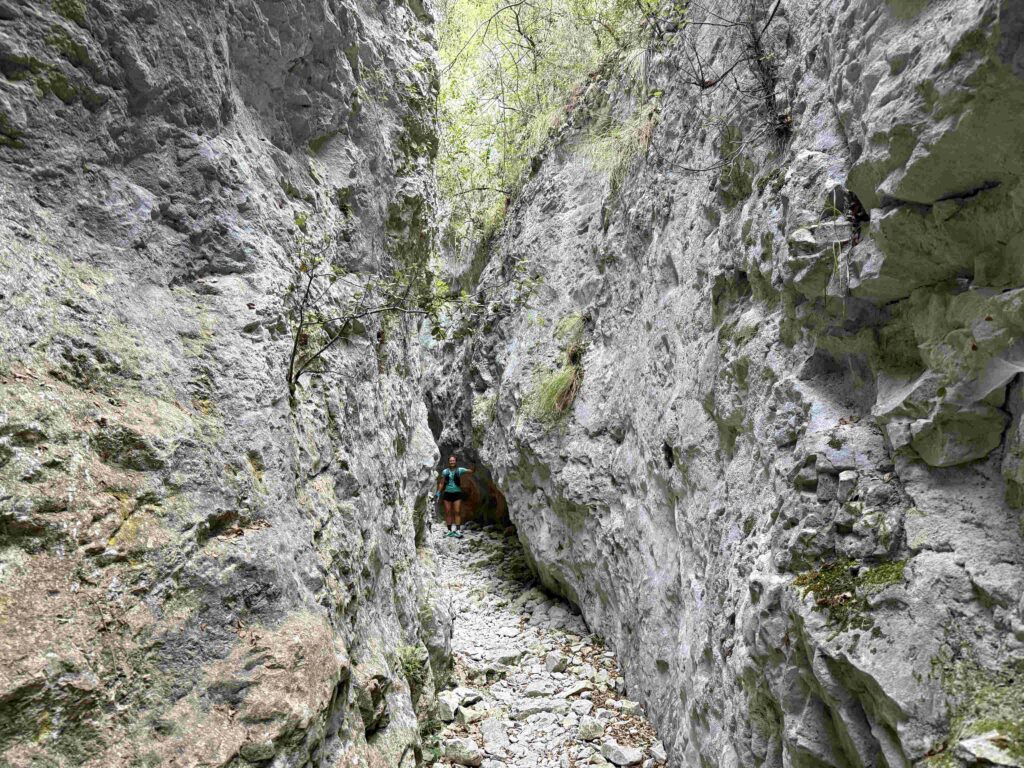 Vue dans les Gorges du Ventoux