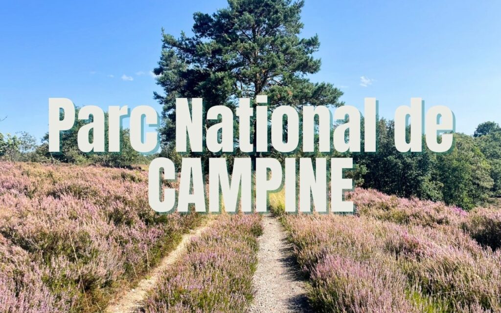 randonnée dans le parc national de Belgique Campine