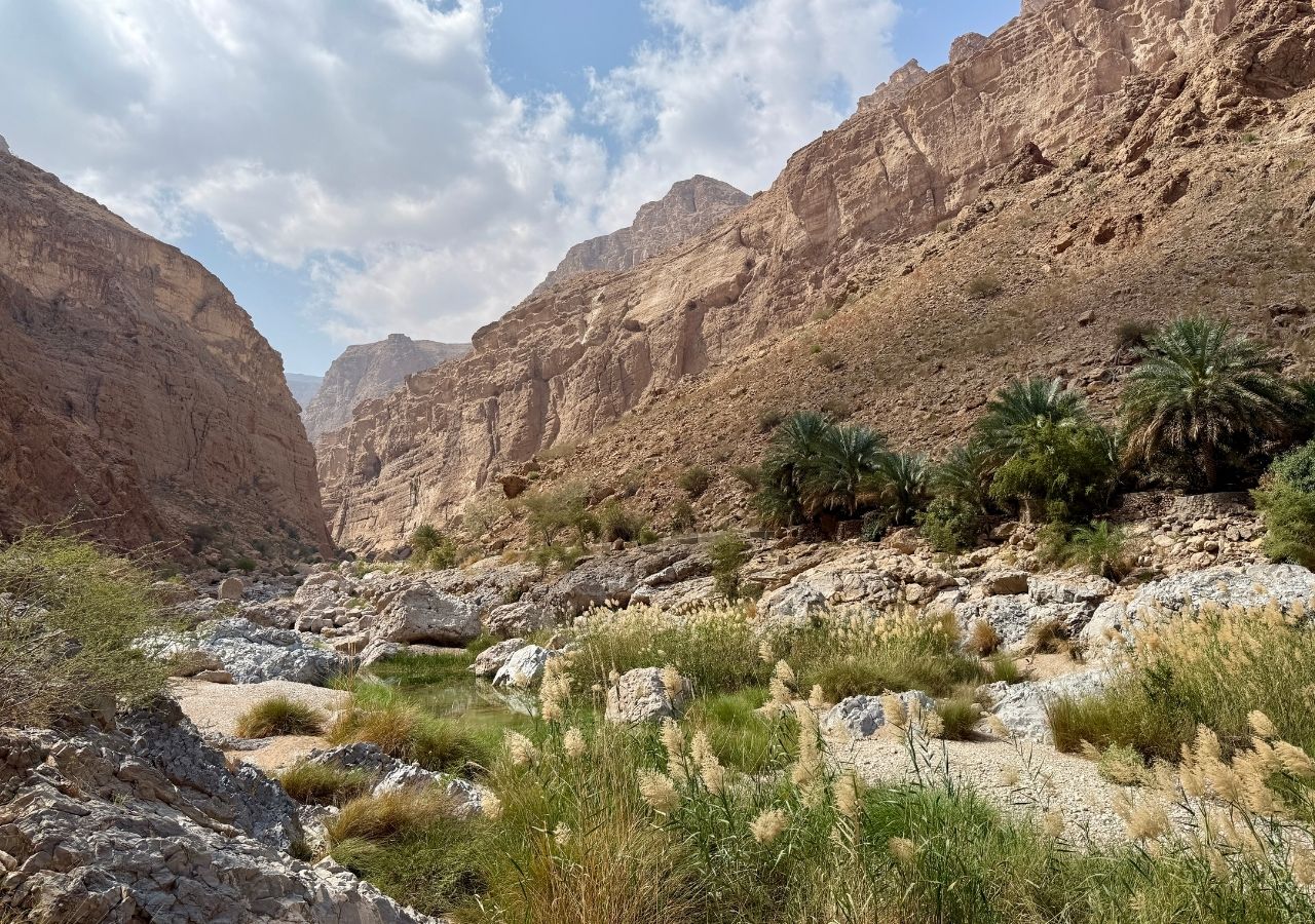 Paysage de wadi à Oman
