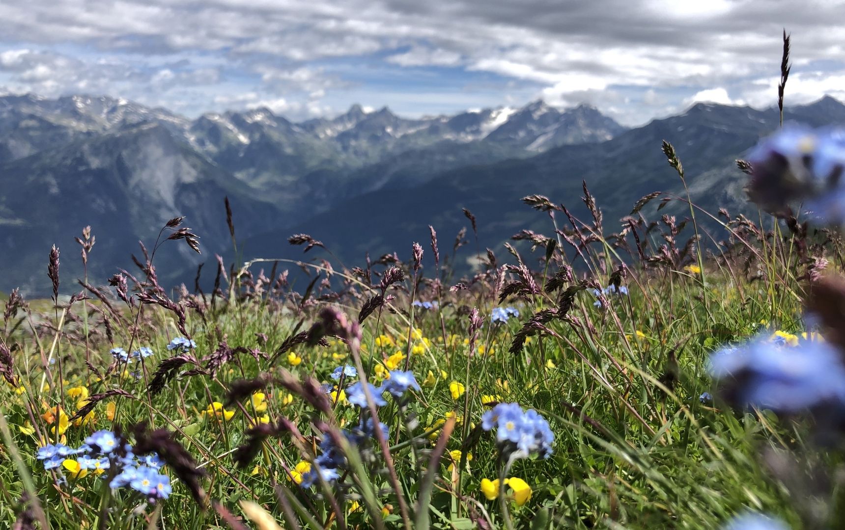 paysage de trek en France dans la Vanoise