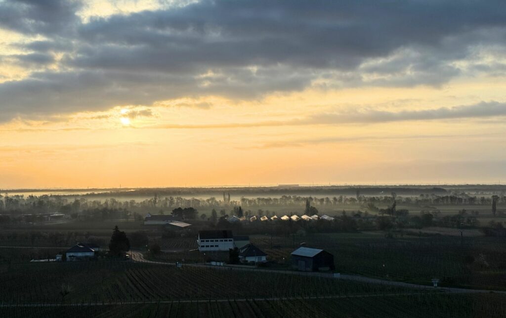 Lever de soleil près de Colmar