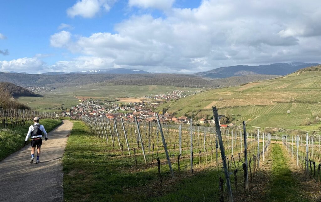 Courir dans les vignes