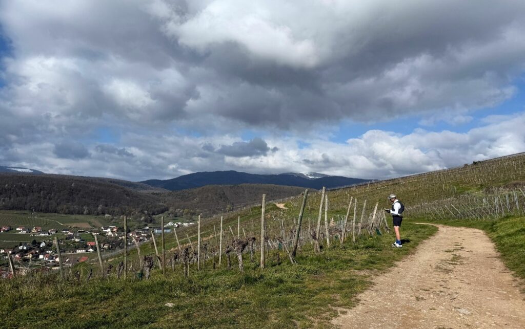 Coureur dans les Vignes dans les Vosges