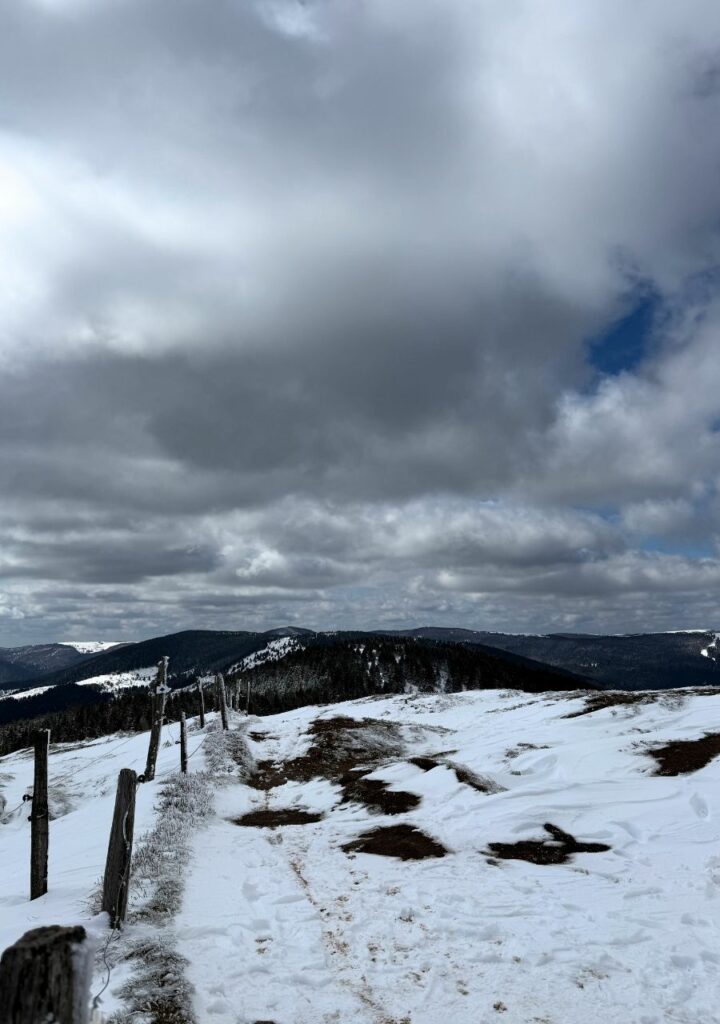 Paysage au sommet du petit Ballon