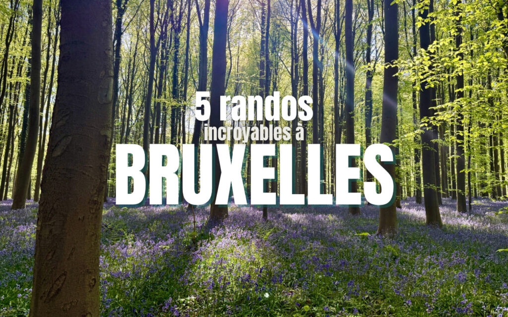 COVER pour 5 randos à Bruxelles