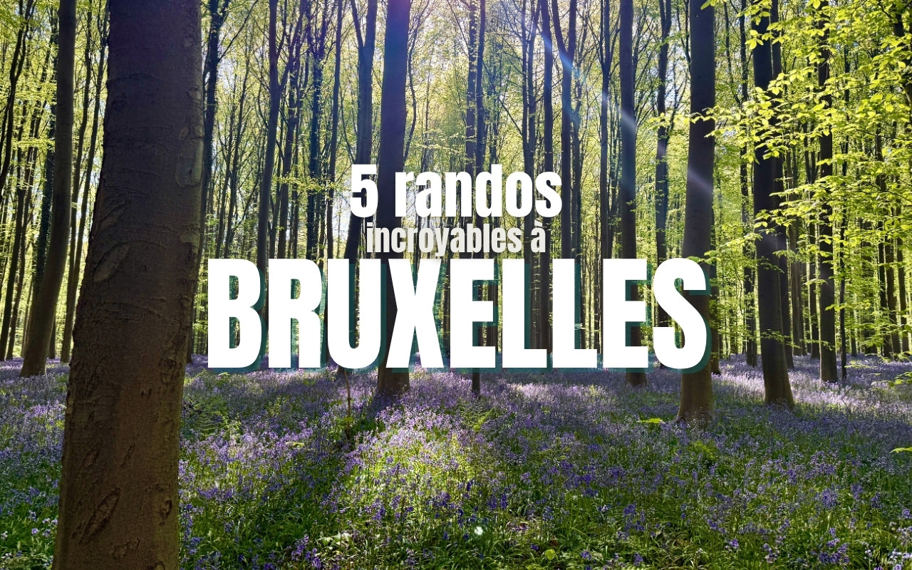 COVER pour 5 randos à Bruxelles