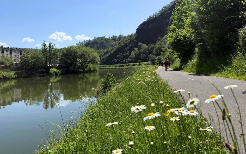 randonnée fleurie rando dans les Ardennes