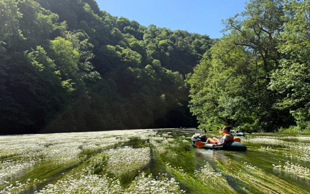 Packraft sur la Semois Paysage vu du packraft sur la Semois