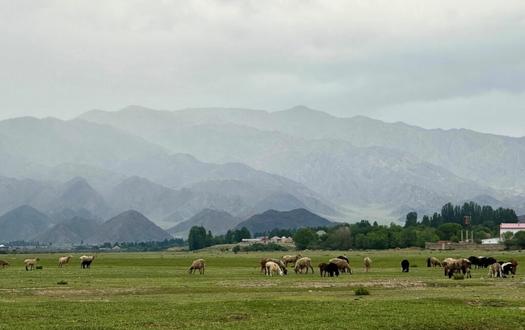 Kochkor voyage au Kirghizistan Paysage a Kochkor au voyage au Kirghizistan