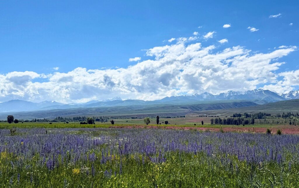 voyage au Kirghizistan Paysage sur la route du Kirghizistan