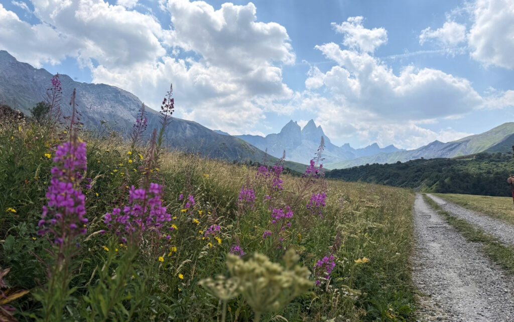Sentier le jour 1 du Tour des Aiguilles d'Arves en rando 