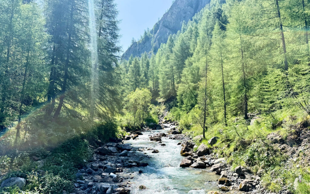 Foret et rivière près du col du Goléon